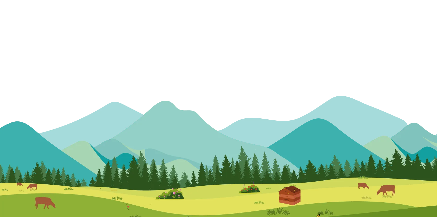 Footer Background