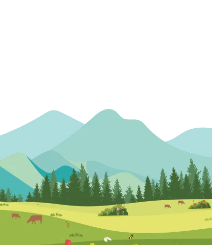 Footer Background Mobile