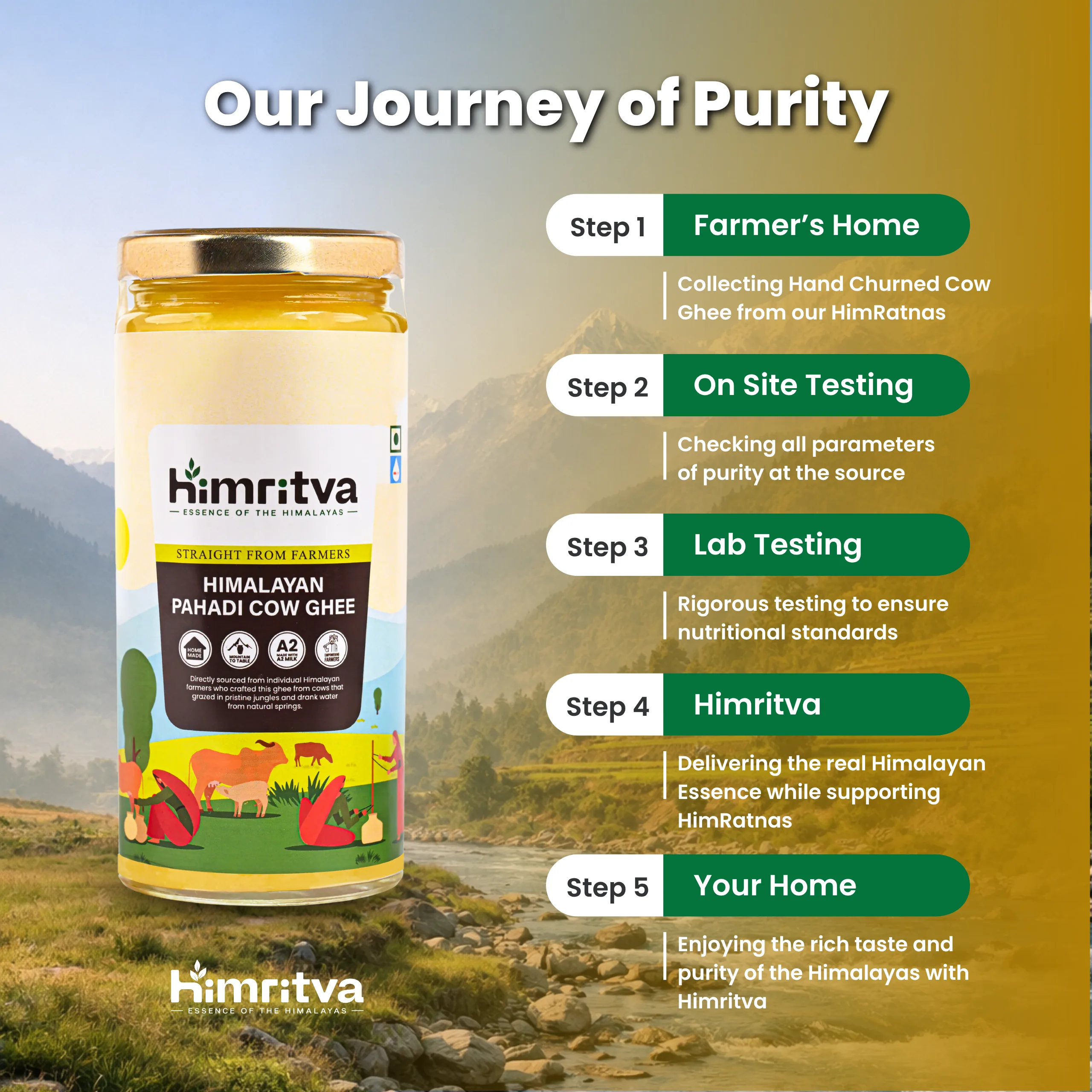 Himritva Pahadi Cow Ghee journey from HimRatna farmers to laboratory testing and home