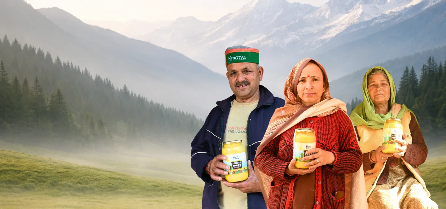 Himalayan Pahadi Cow Ghee, Made With Care